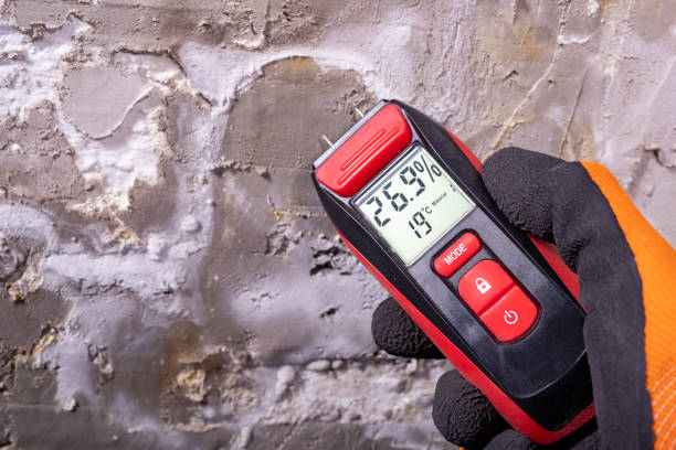 Best Emergency Mold Remediation in Fall River, WI
