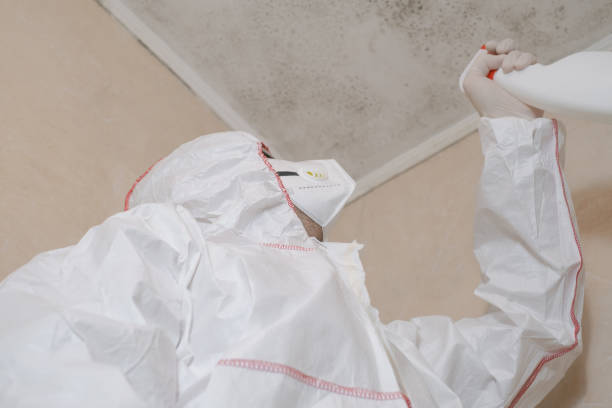 Best HVAC Mold Remediation in Fall River, WI