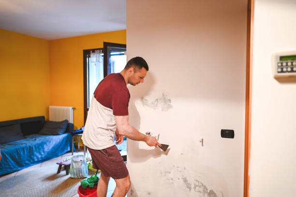 Trusted Fall River, WI Mold Remediation Experts