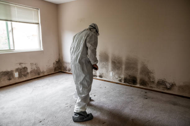 Reliable Fall River, WI Mold Remediation Solutions